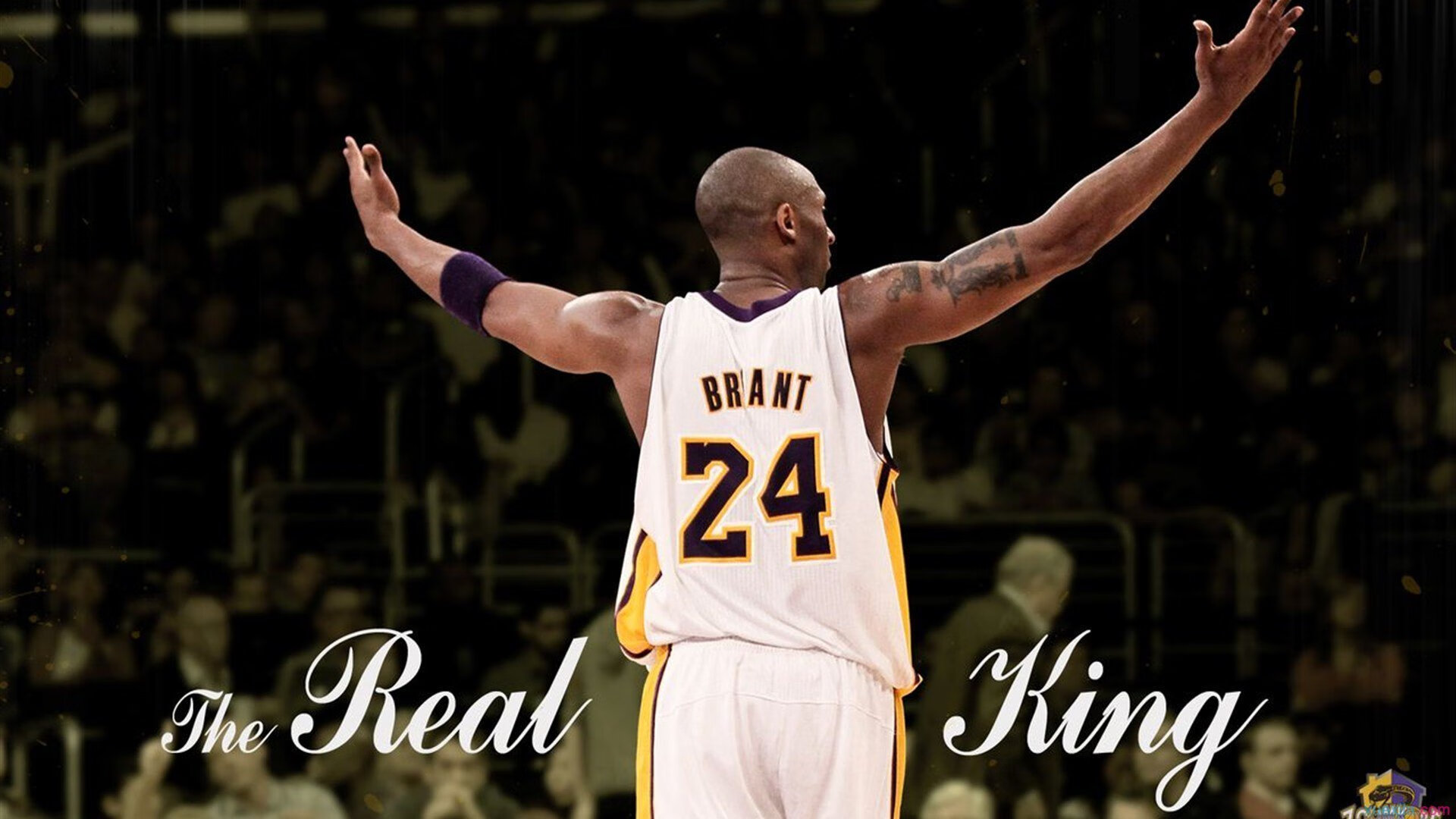 开云app注册-体育科技展亮相国际会展中心，2020年国际体育展会