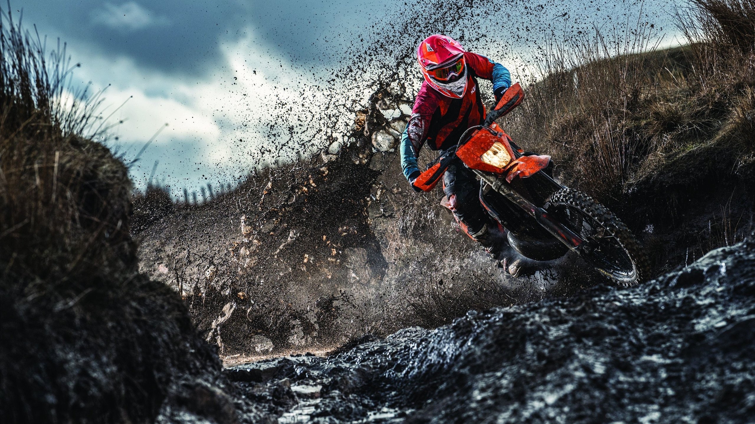 奥斯马尔·奥尔韦拉跳板动作协调优美